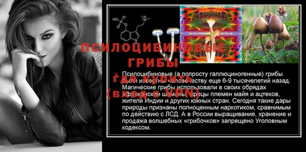 jwh Богородск