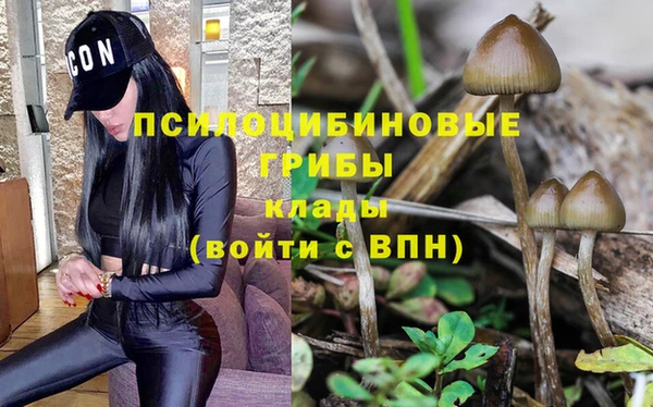 jwh Богородск